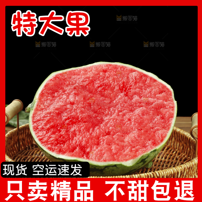 木底上的麒麟瓜