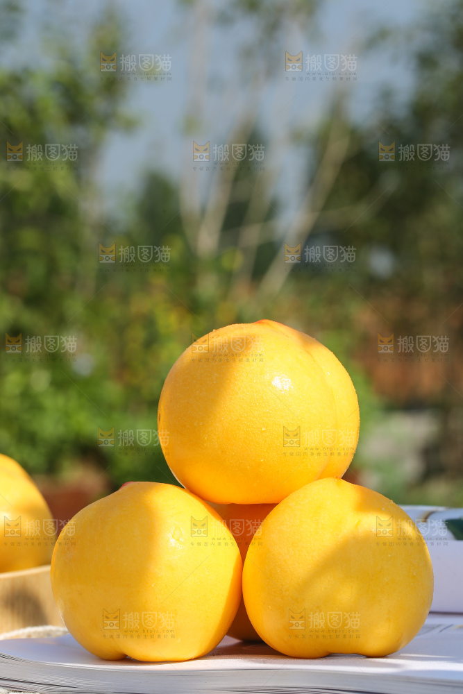 浅底上的黄油桃