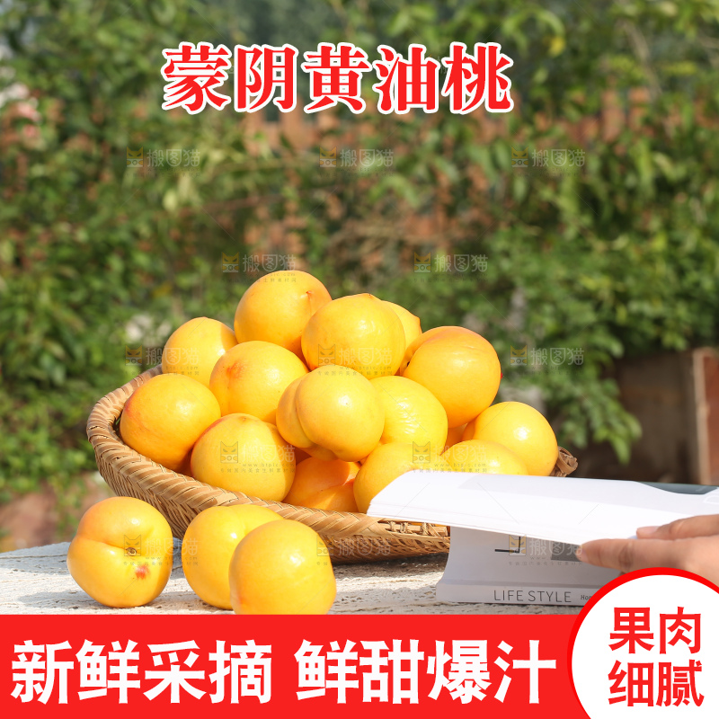 浅底上的黄油桃