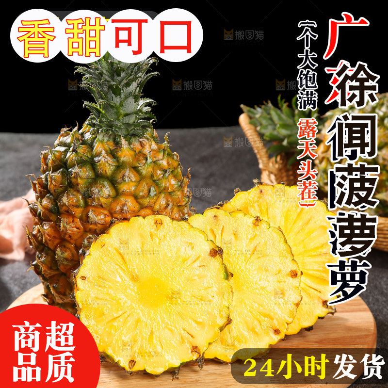 徐闻菠萝主图