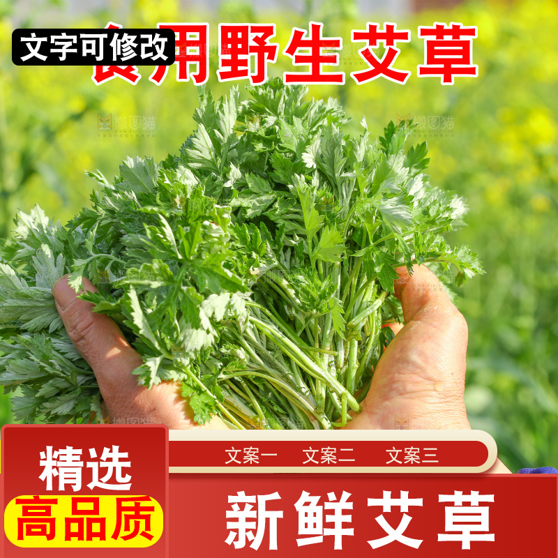 新鲜艾草主图