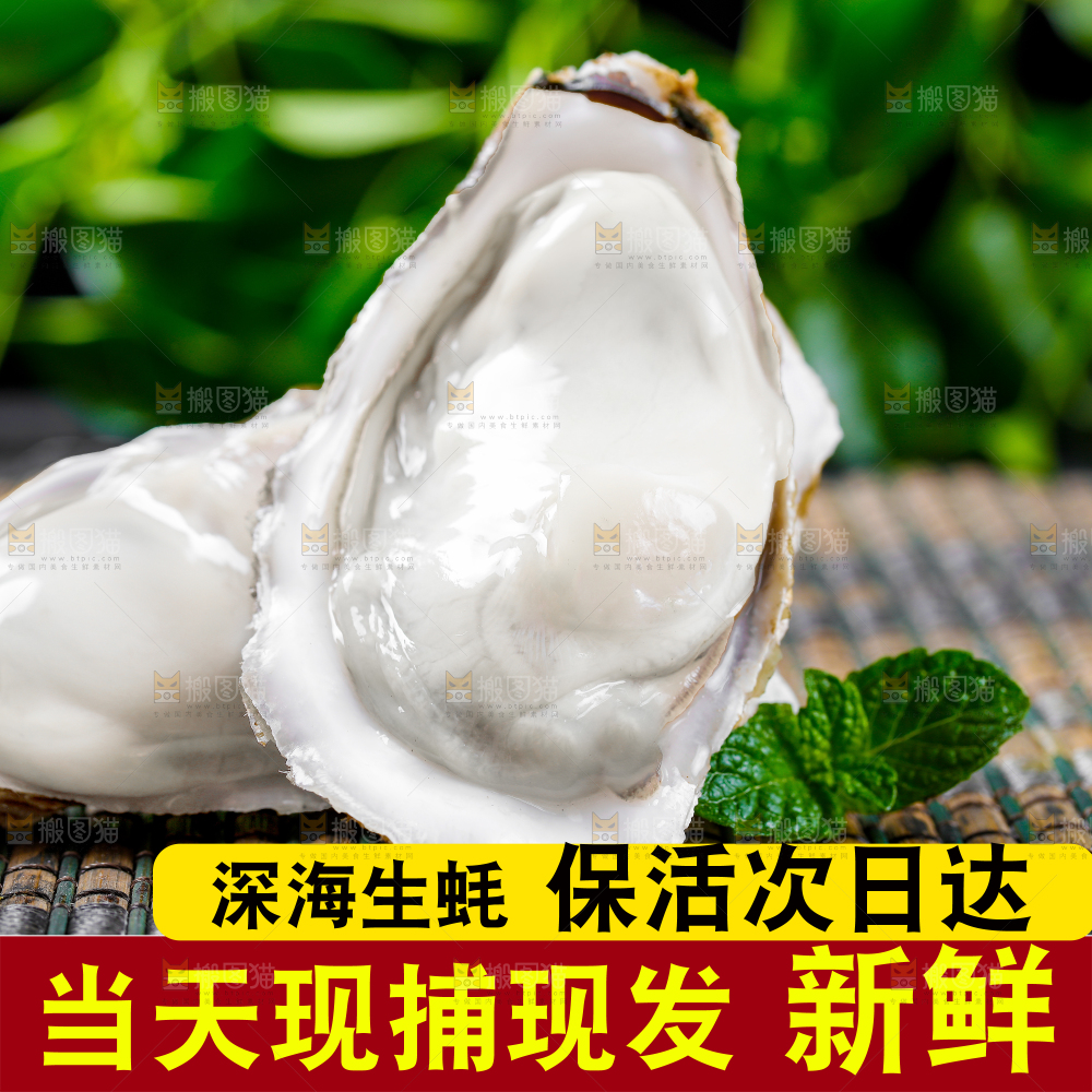 深海生蚝主图