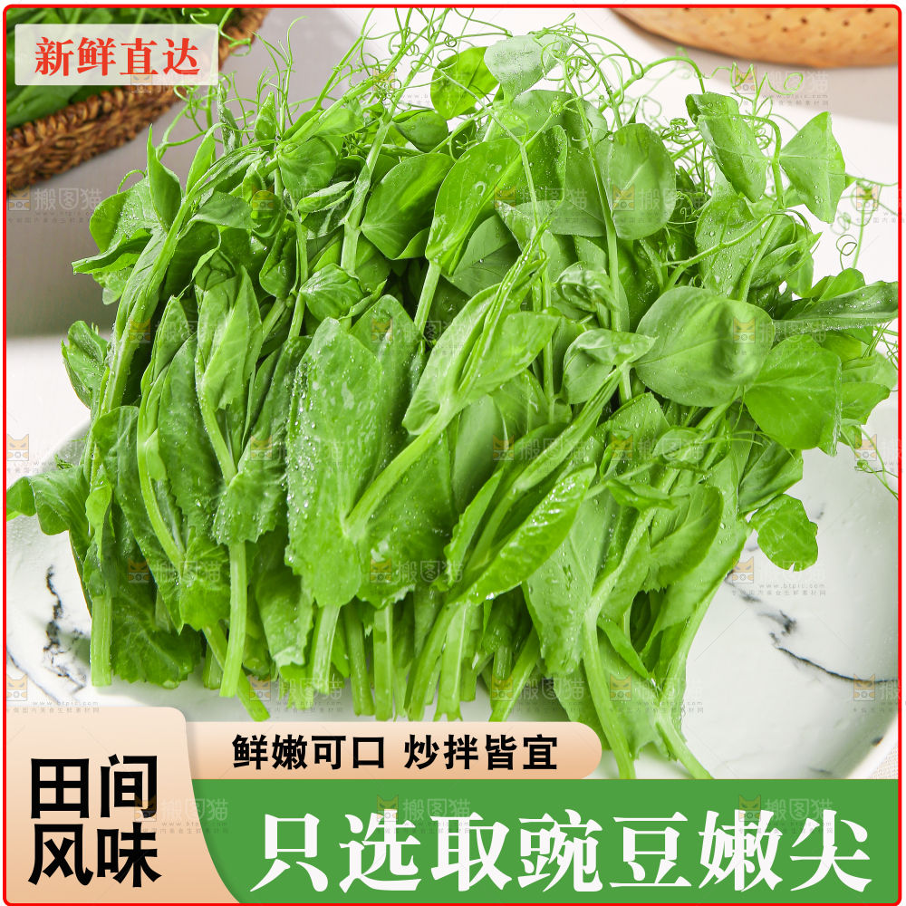 豌豆尖主图