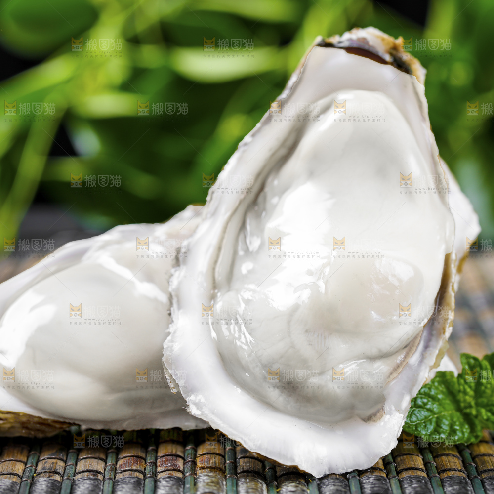 生蚝