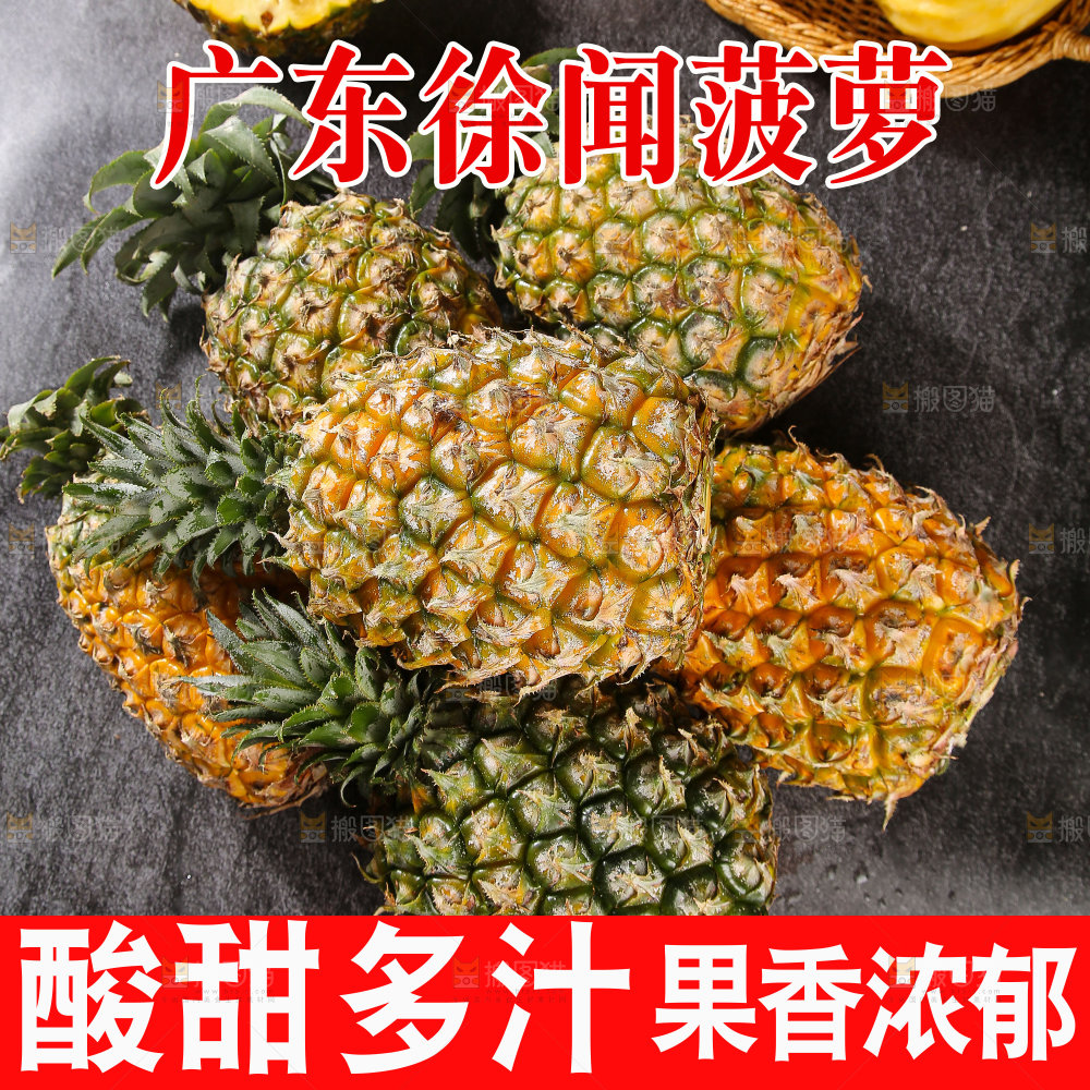 徐闻菠萝主图