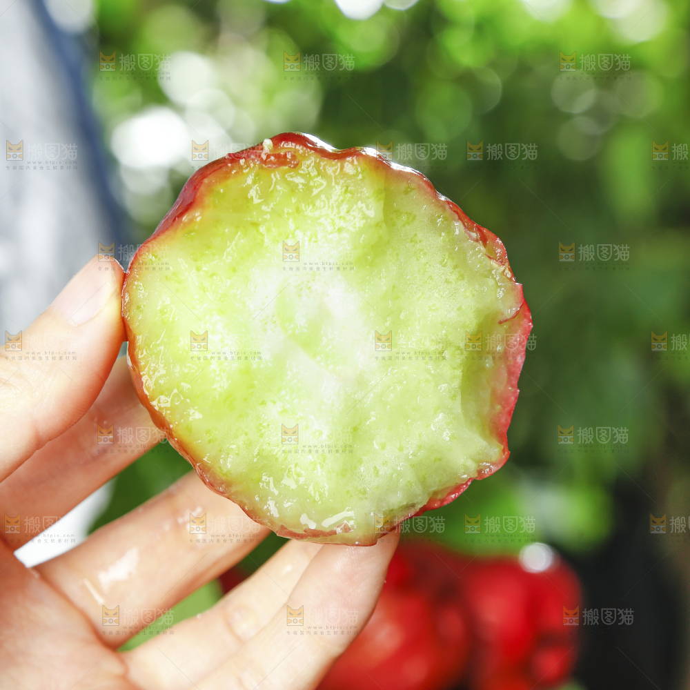 浅底上的莲雾