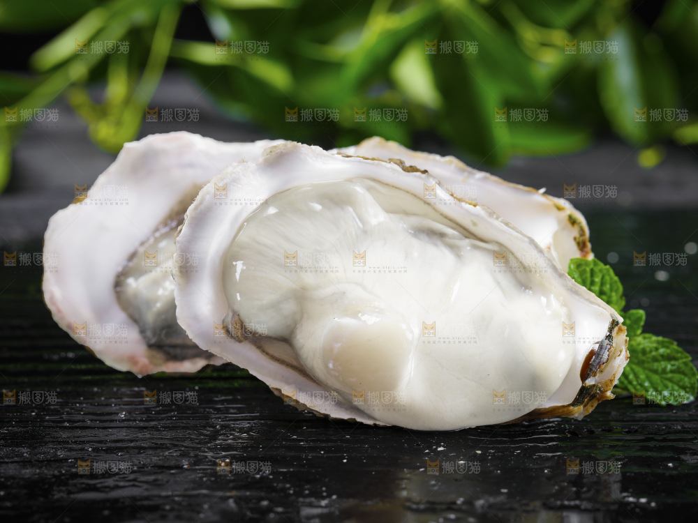 深底上的乳山生蚝