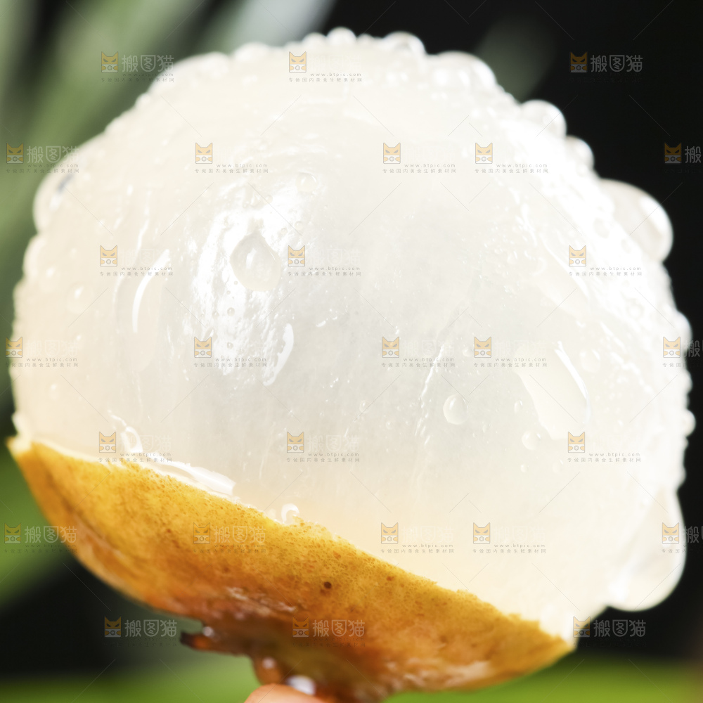 深底上的石硖龙眼