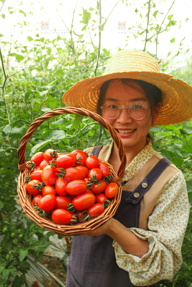 手里拿着新鲜圣女果
