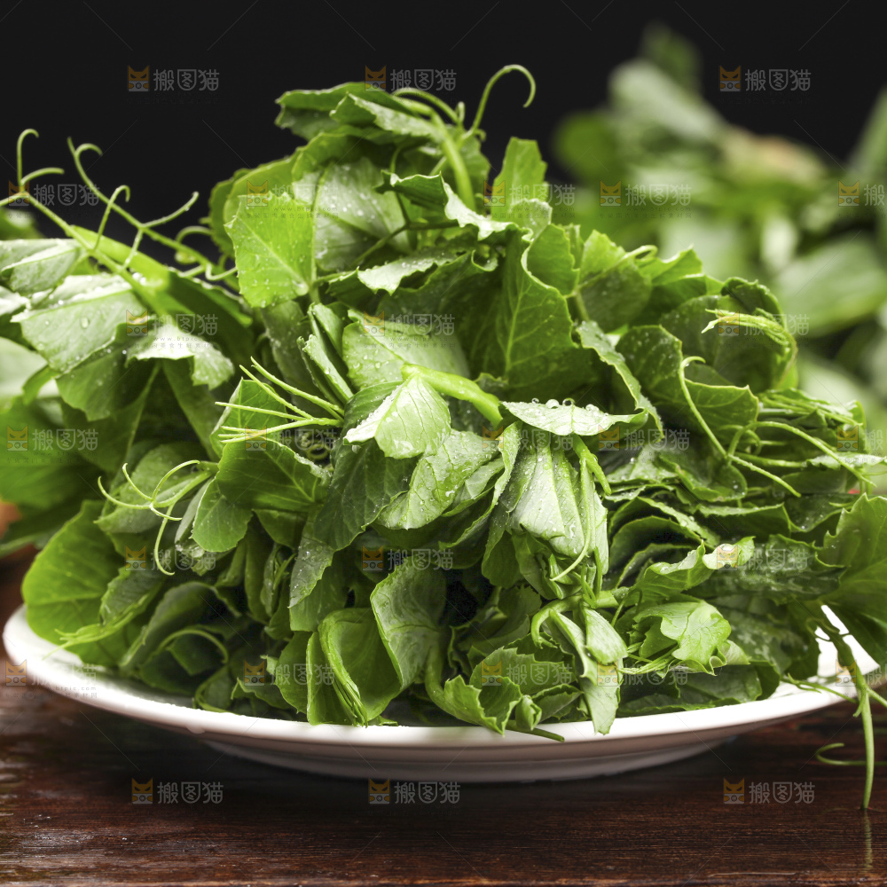 深底上的豌豆苗