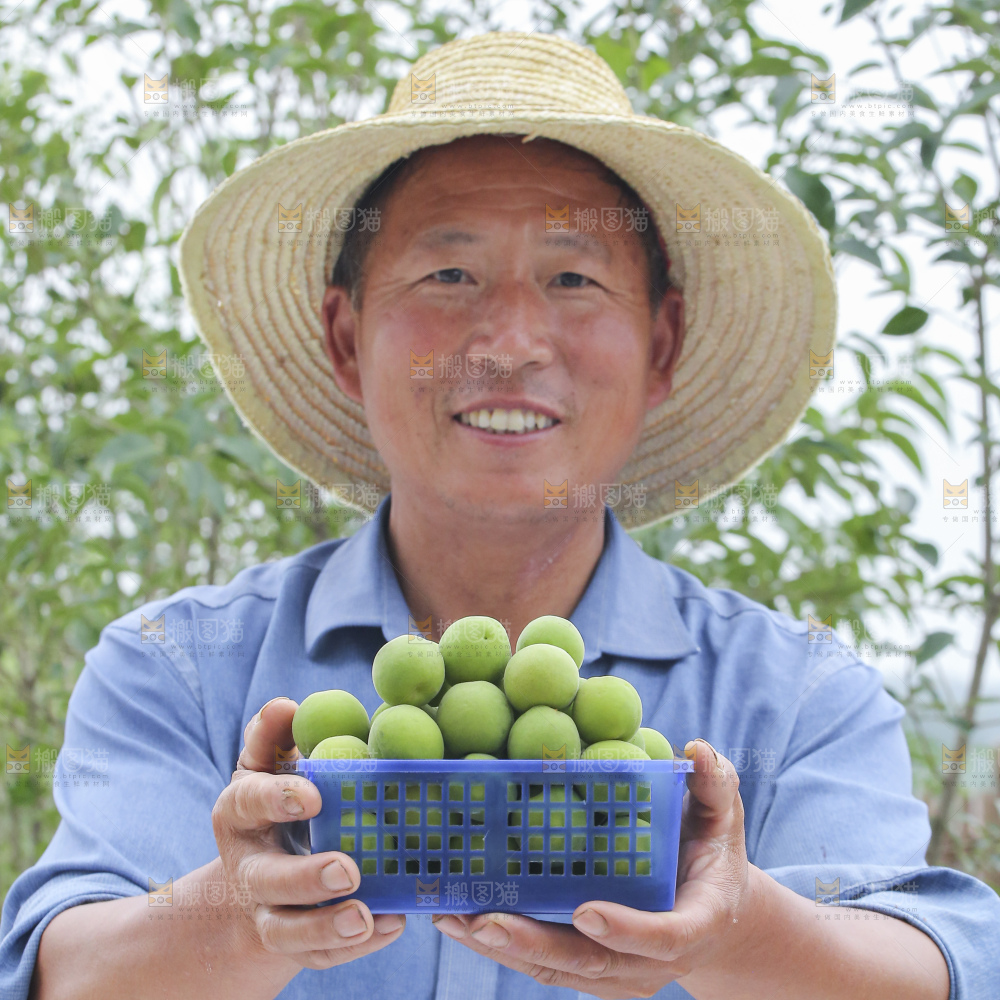 手里拿着新鲜青梅