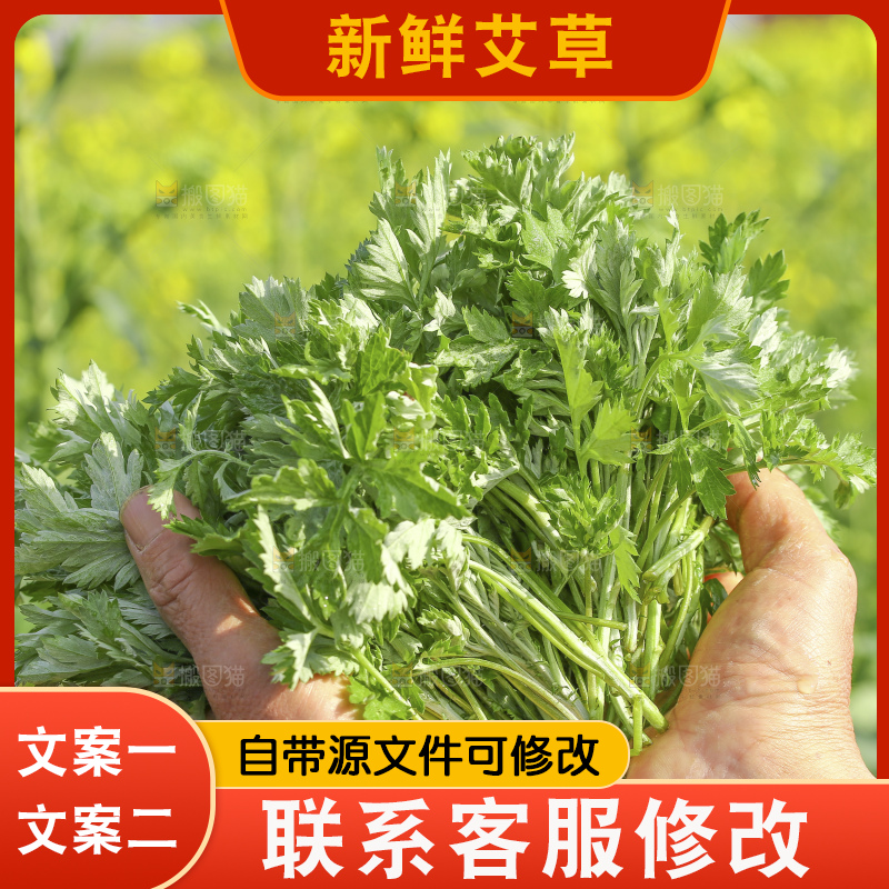 手里拿着新鲜艾草