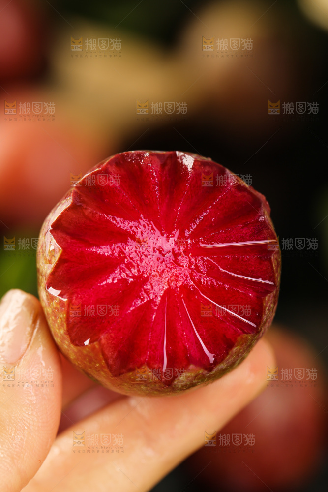木底上的红肉三华李