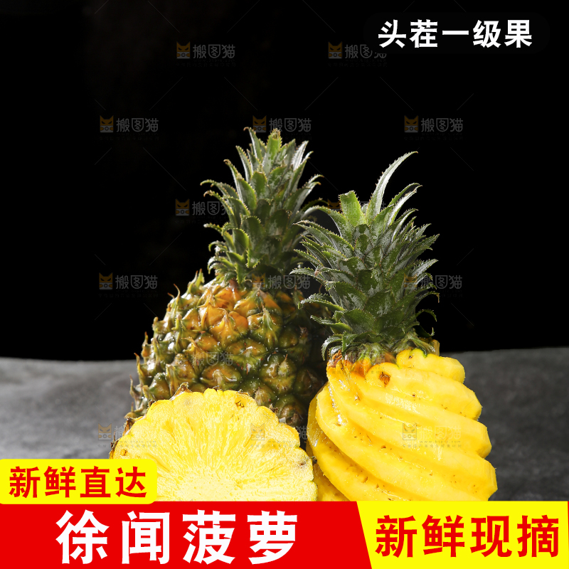 深底上的徐闻菠萝