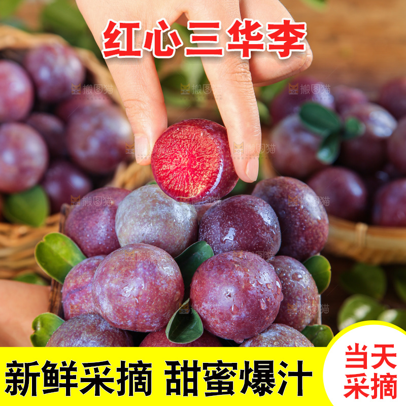木底上的红肉三华李