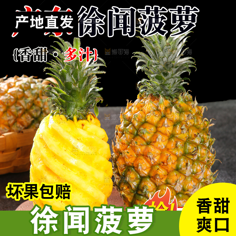 徐闻菠萝主图