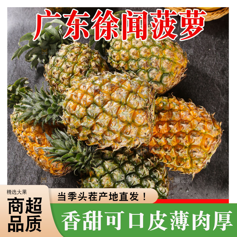 徐闻菠萝主图
