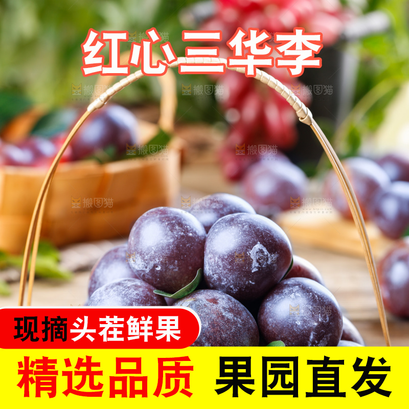 木底上的红肉三华李