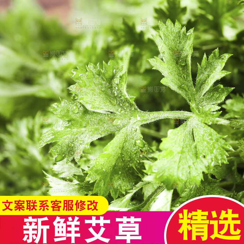手里拿着新鲜艾草