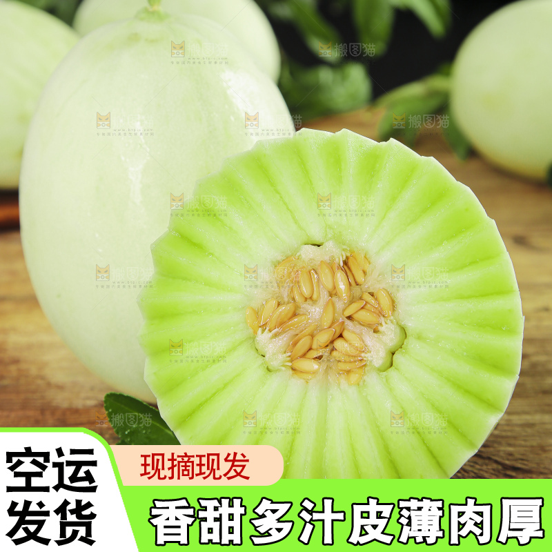 深底上的玉菇甜瓜
