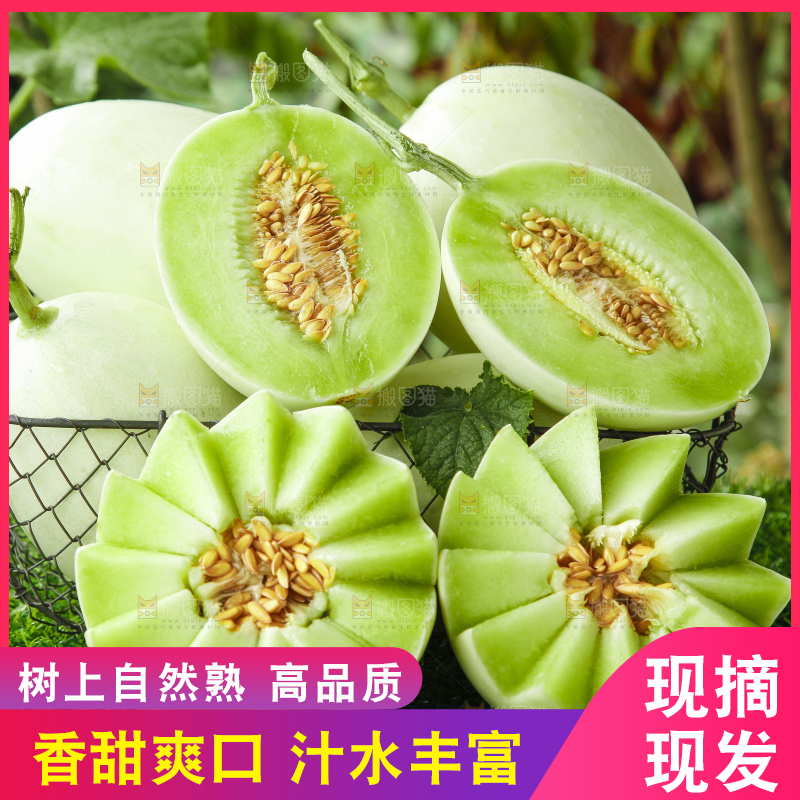 深底上的玉菇甜瓜