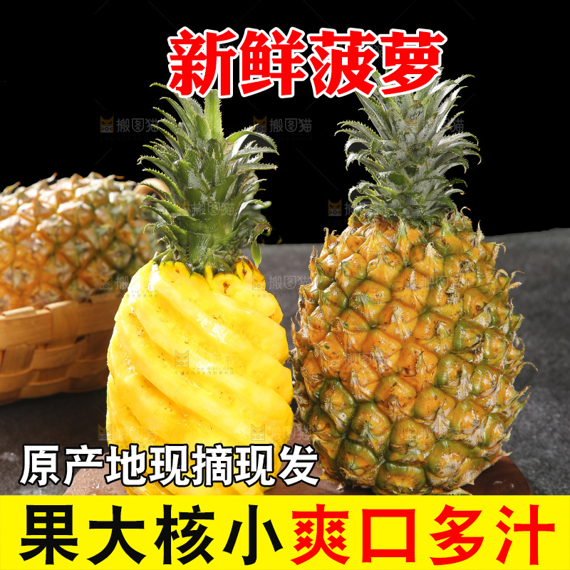 深底上的徐闻菠萝