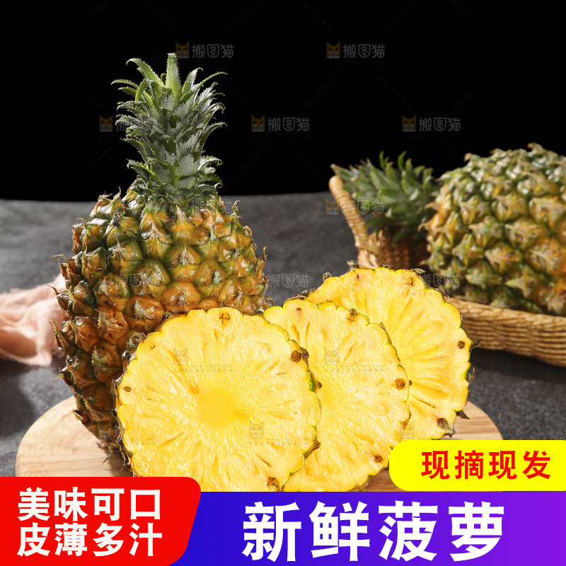深底上的徐闻菠萝