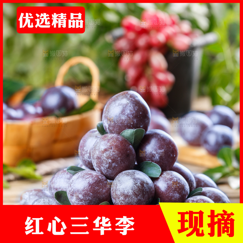 木底上的红肉三华李