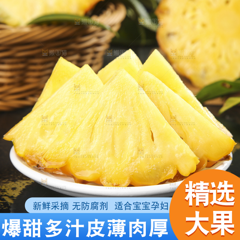 深底上的徐闻菠萝