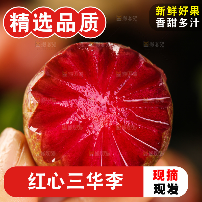 木底上的红肉三华李