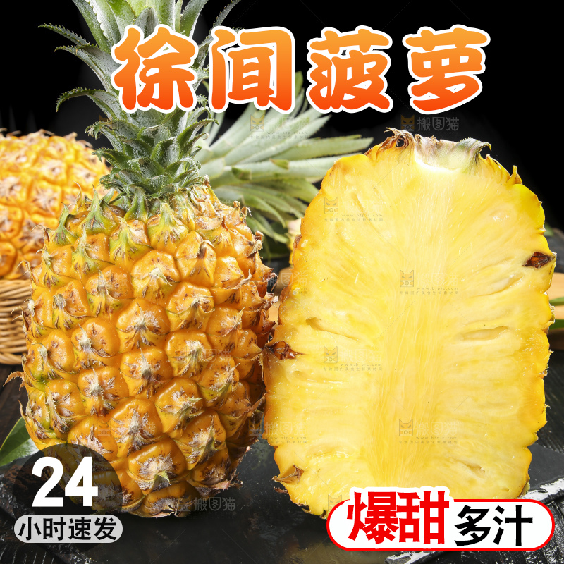 深底上的徐闻菠萝