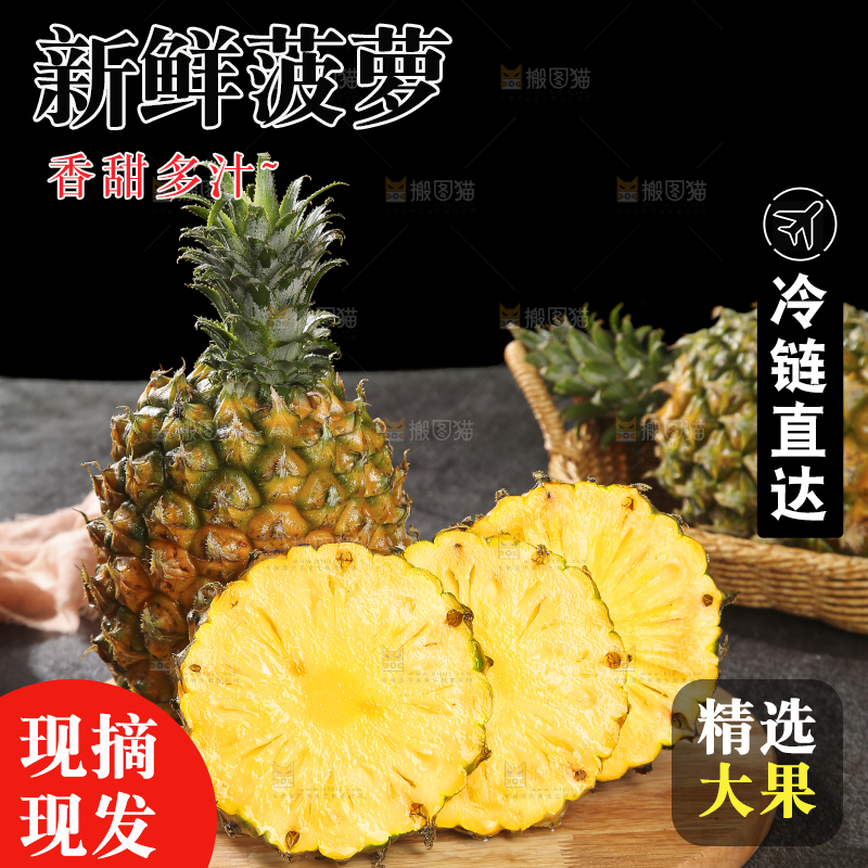 深底上的徐闻菠萝