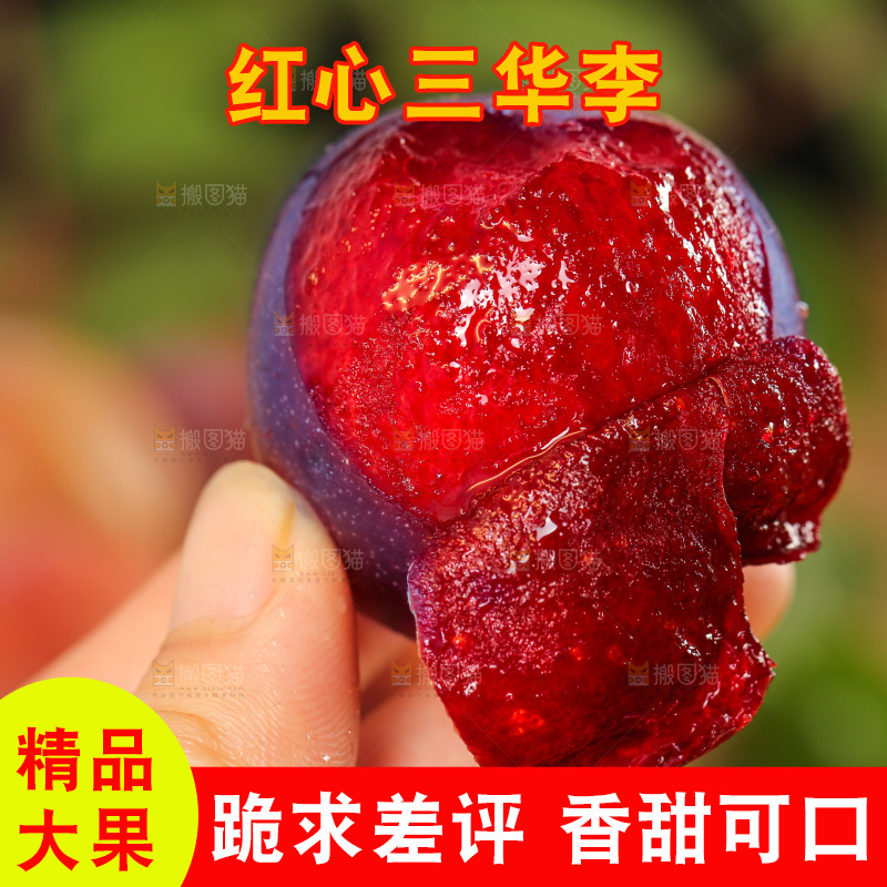 木底上的红肉三华李