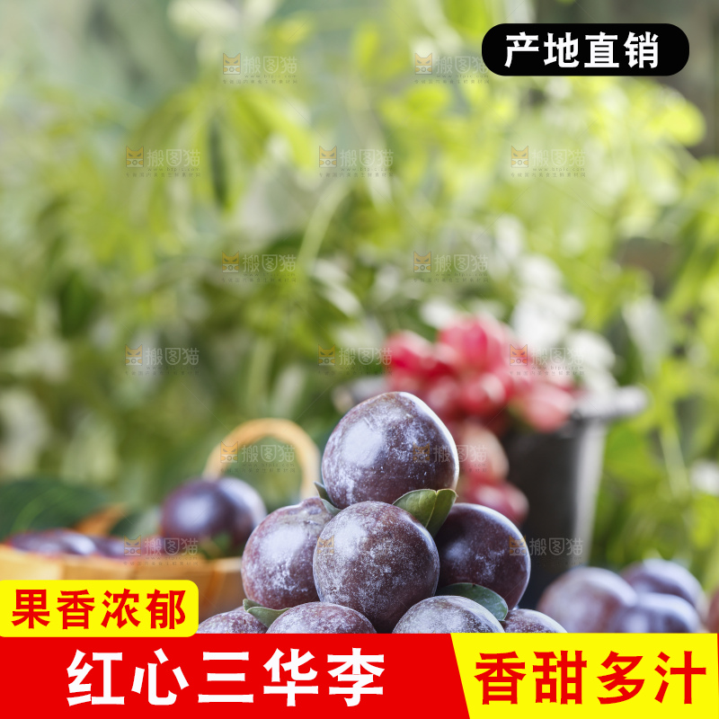 木底上的红肉三华李
