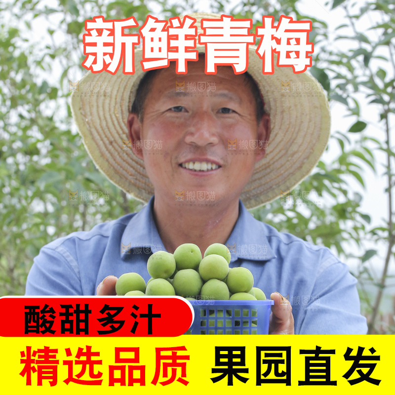 手里拿着新鲜青梅