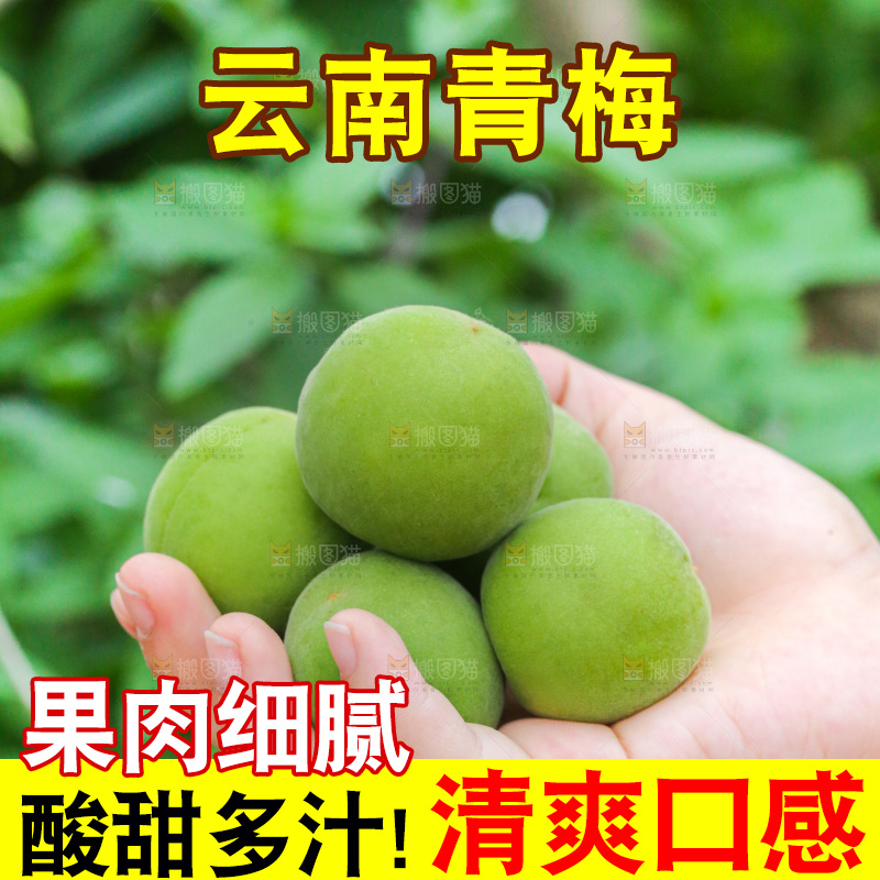 手里拿着新鲜青梅