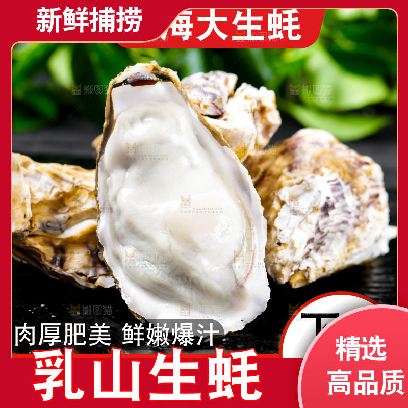 深海生蚝主图