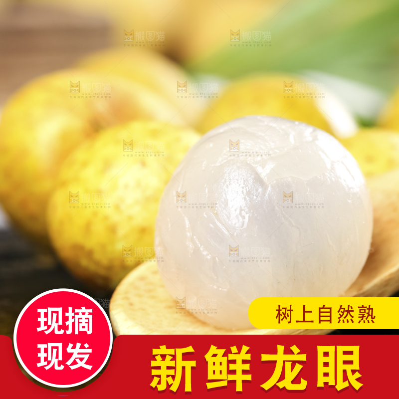 深底上的石硖龙眼