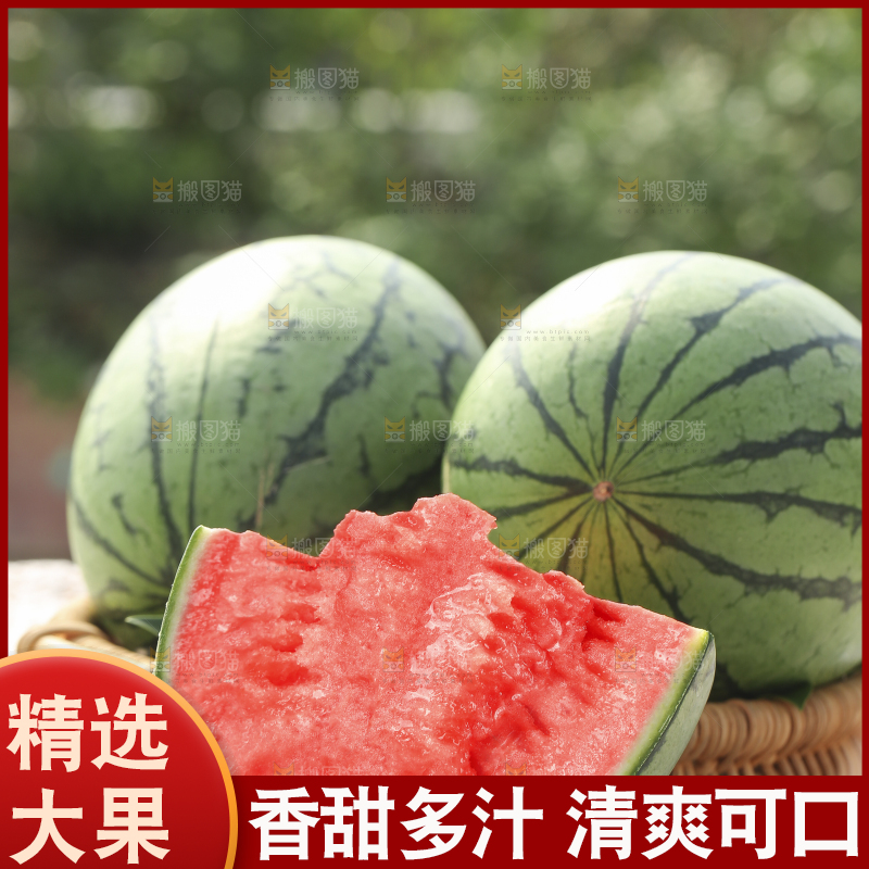 手里拿着红瓤西瓜