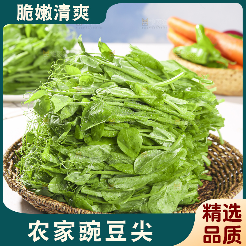 浅底上的豌豆尖