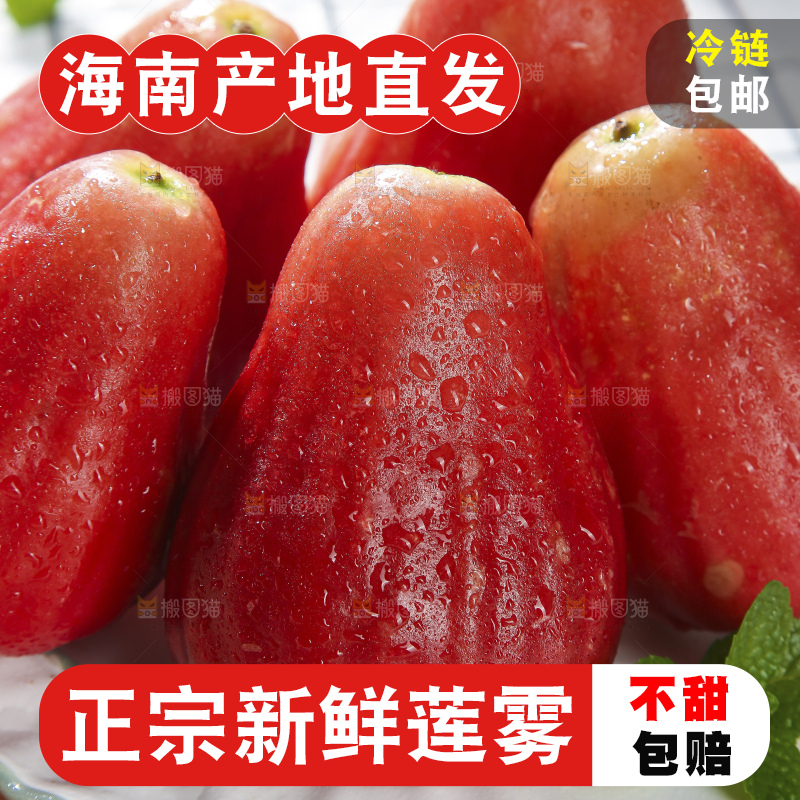 浅底上的莲雾