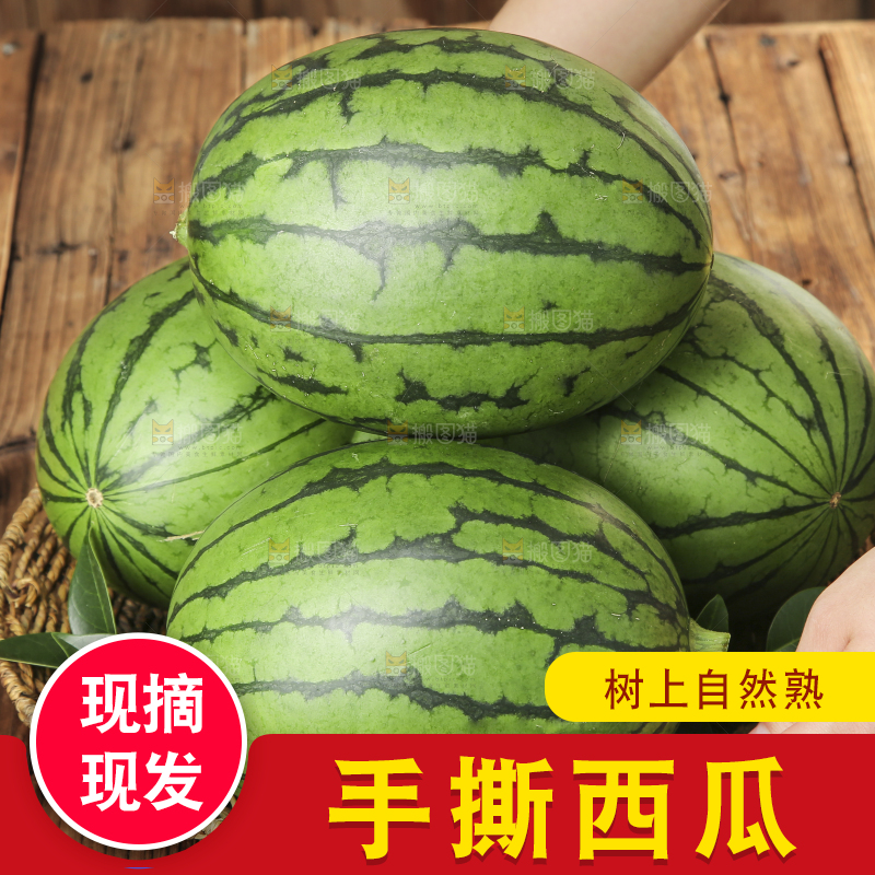 木底上的手撕西瓜