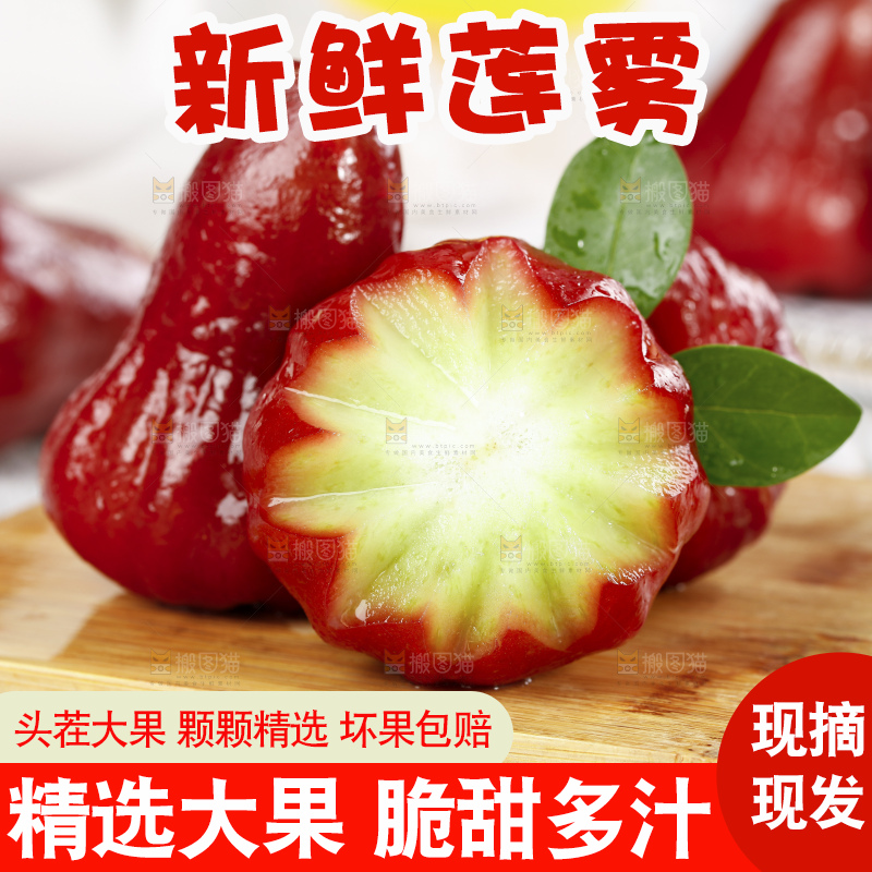 浅底上的莲雾