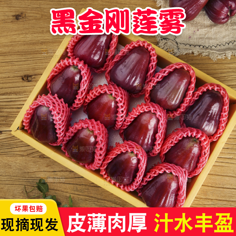 浅底上的莲雾
