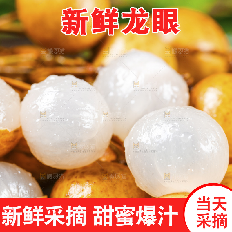 深底上的石硖龙眼