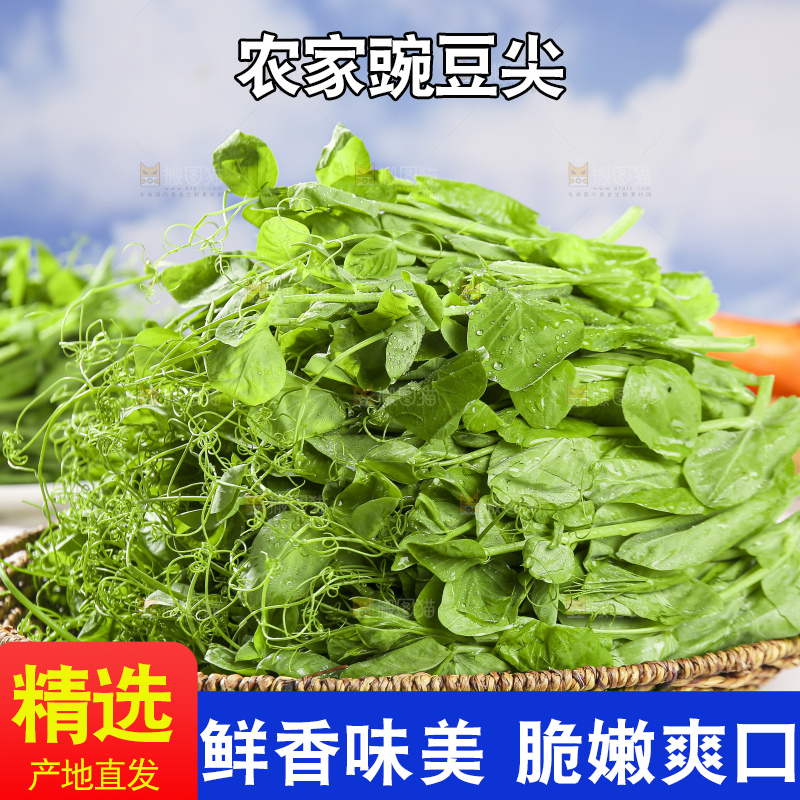 浅底上的豌豆尖