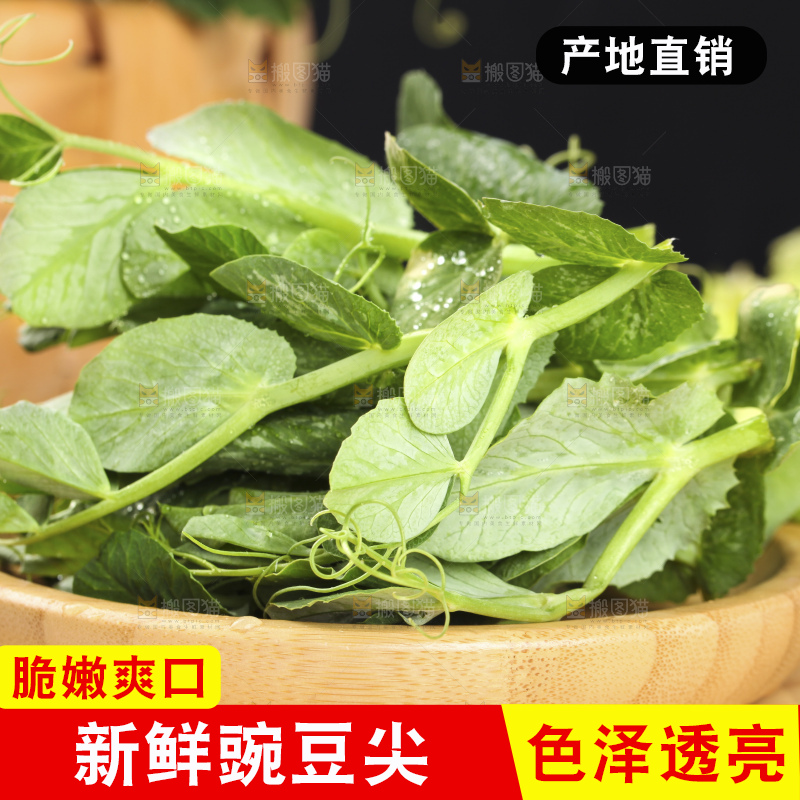 深底上的豌豆苗