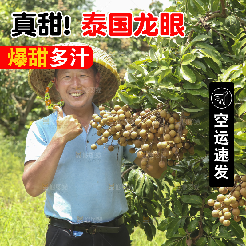 手里拿着新鲜龙眼