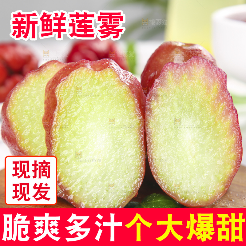 浅底上的莲雾