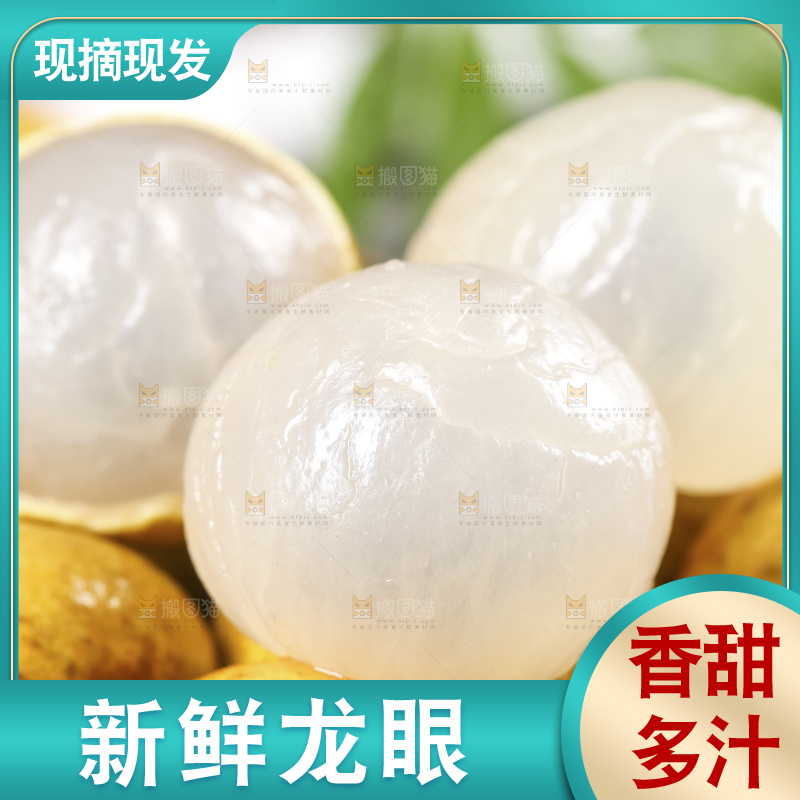 深底上的石硖龙眼